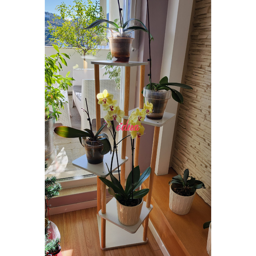 5-Kate Stende Druri per Bime/Lule 🌿